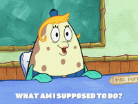 season 6 boating buddies GIF by SpongeBob SquarePants