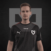 Dexter Acor GIF by mousesports