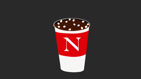 Nuexperience GIF by Northeastern University