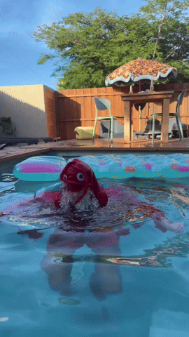 saltyseafoodcompanyofficial salty salty seafood saltyseafood GIF