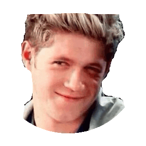 niall horan GIF by imoji