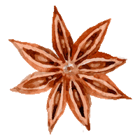 Coquelicot Sticker by Tana Rendon