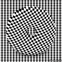 pislices loop 3d trippy black and white GIF