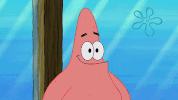 season 9 episode 13 GIF by SpongeBob SquarePants