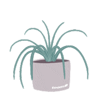 Plants Diy Sticker by toom Baumarkt