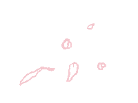 Pink Decorate Sticker
