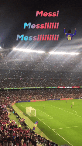 Football Fans GIF