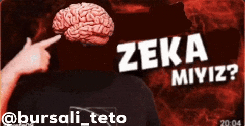 Zeka Evrim GIF