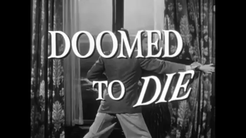 my name is julia ross GIF by Arrow Academy