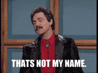 Burt Reynolds Turd Ferguson GIF