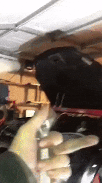 Car Middle Finger GIF