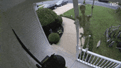 scared going down GIF by Nest