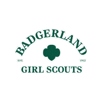 Girl Scouts Gsusa Sticker by GSBadgerland