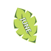 Palm Leaf Sticker by vitaveg eco packaging
