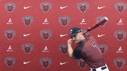 Baseball Wildcats GIF by CWU Athletics