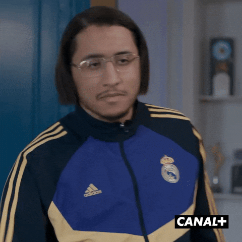 Canal Plus Series GIF by CANAL+
