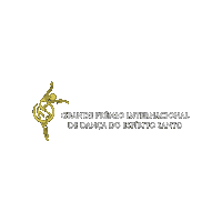 Espirito Santo Ballet Sticker by So Danca