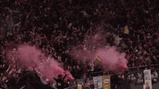 Womens Soccer Pride GIF by National Women's Soccer League