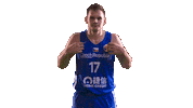 Czech Republic Game Sticker by FIBA