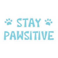 Cat Cheering Up Sticker