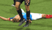 Fiete Arp Bundesliga GIF by Holstein Kiel