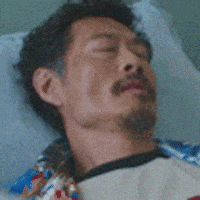 Tiger Mirror GIF by ViuTV