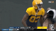 Nfl Season 2019 Football GIF by NFL
