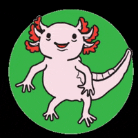 6DS axolotl happy axolotl 6dollarshirts axolotl6ds GIF