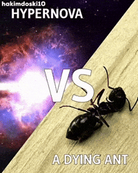 Hydrogen Bomb Ant GIF