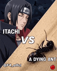 F4Offcl GIF