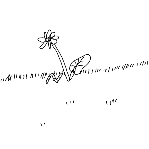 Flower Eat GIF by Yool N