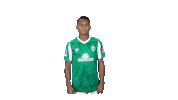 Bundesliga Felix Sticker by SV Werder Bremen