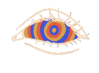 Staring Primary Color Sticker