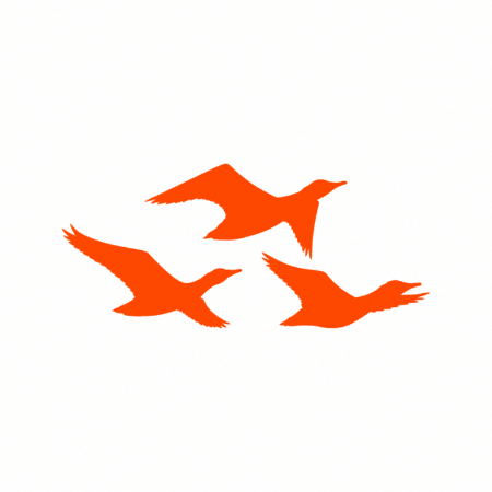 fbrjunior giphygifmaker fbr fbrjunior laviene GIF