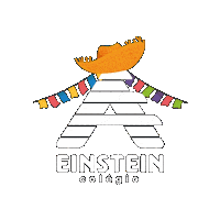 Festajunina Sticker by Colégio A. Einstein