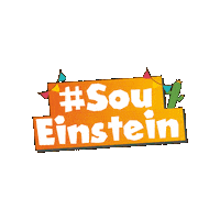 Festajunina Sticker by Colégio A. Einstein