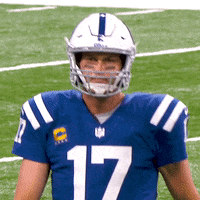 Indianapolis Colts Football GIF by NFL