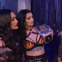 Confused Brie Bella GIF