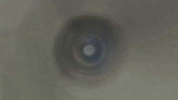 Yak GIF by ELYX