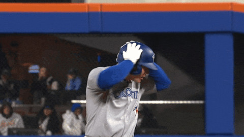 Blue Jays Baseball GIF by Toronto Blue Jays
