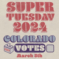 Super Tuesday Vote GIF