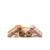 Summer House Chef Sticker by The Eccentric Bagel