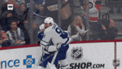 Happy National Hockey League GIF by NHL