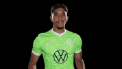 Look Here Reaction GIF by VfL Wolfsburg