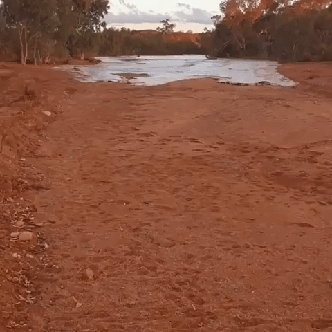 Outback Creek Brought Back to Life by Rains in Far Western New South Wales