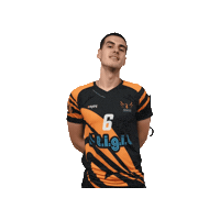 Federicomarrazzo Sticker by Fenice Pallavolo Roma