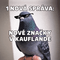 Dance Shopping GIF by Kaufland Slovensko