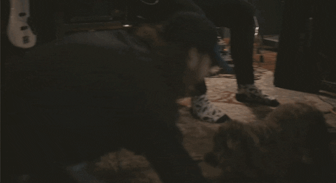 State Champs GIF by Pure Noise Records