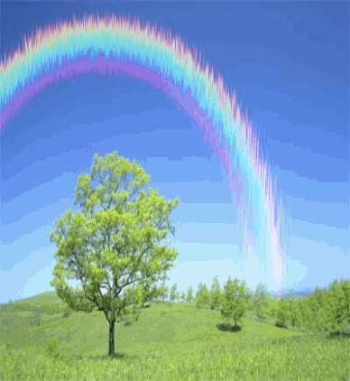 rainbows GIF