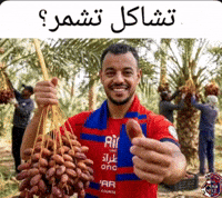 Algeria Cab GIF